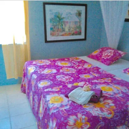 House Anna-Lisa Appartement
